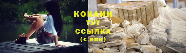 молекула духа Заводоуковск