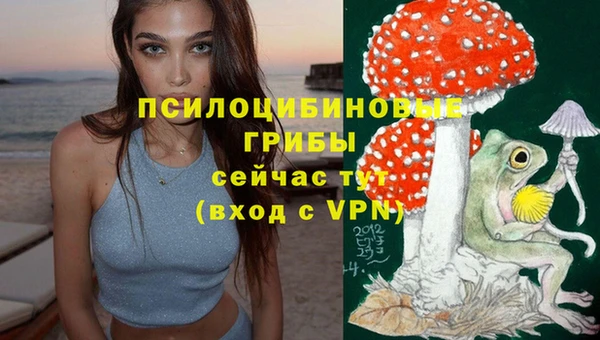 дурь Заволжск
