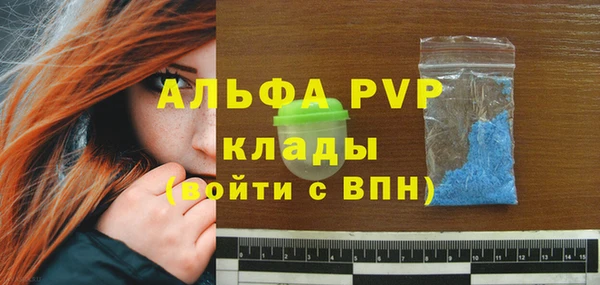 молекула духа Заводоуковск