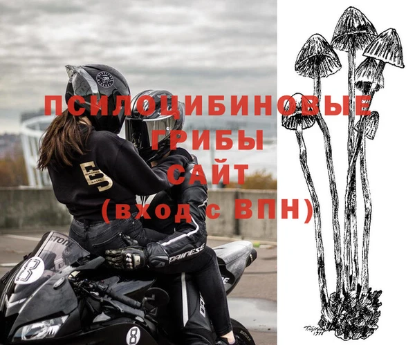 дживик Аксай